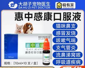 狗狗发烧的病症状及药物治疗（详细了解狗狗发烧的病症和使用何种药物治疗）