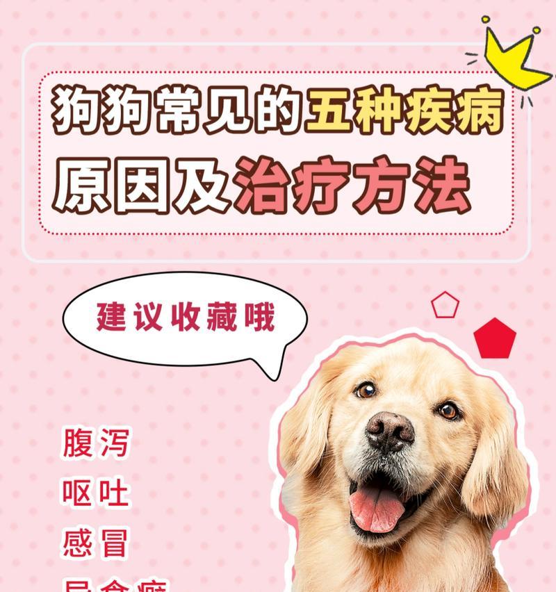 狗夏天拉肚子的原因及应对方法（夏季高温下狗狗拉肚子的主要原因及预防措施）
