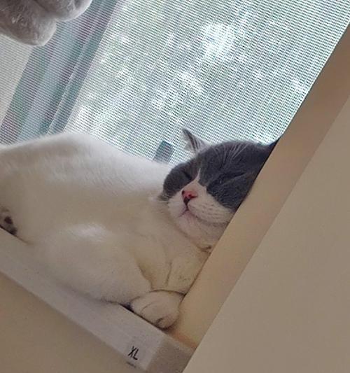 :