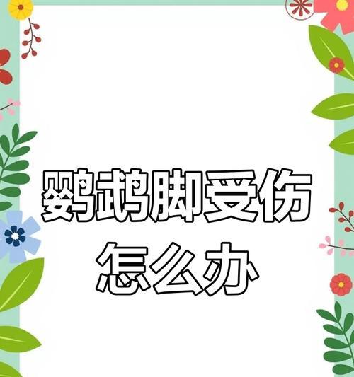 腿瘸的原因及治疗方法（解析腿瘸的常见病因与康复计划）