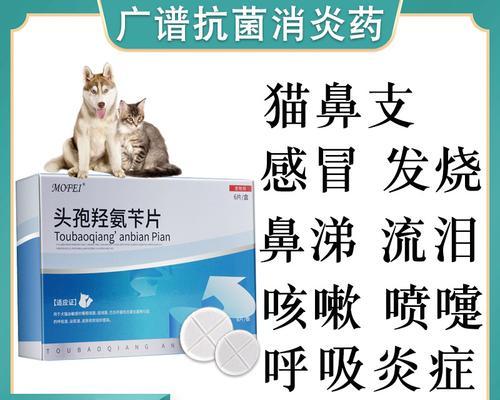 狗狗肠炎呕吐，如何选择适合的药物治疗？（有效缓解狗狗肠炎呕吐的药物及注意事项）