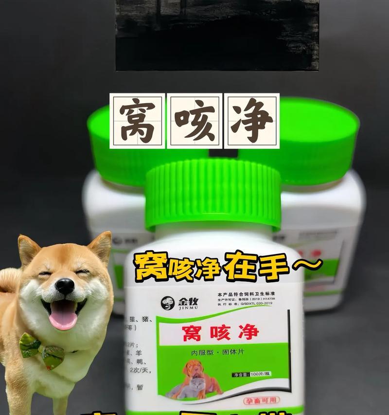小狗咳嗽的原因和治疗方法（了解小狗咳嗽的病因和寻求适当的医疗帮助）