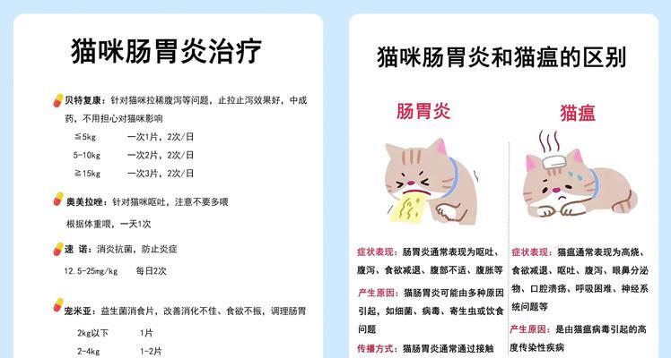 猫咪患有寄生虫的常见症状及治疗方法（了解猫咪患虫的迹象，保护它们的健康）