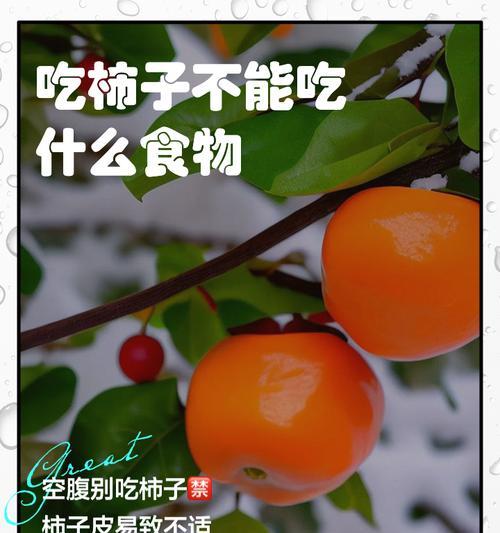 金毛犬的饮食与禁忌（了解金毛犬的适宜食物和禁忌药物，让它健康快乐成长）
