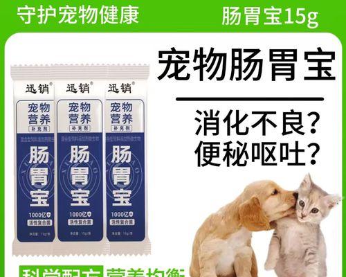 狗的消化不良怎么办？（探索有效的药物治疗方法）