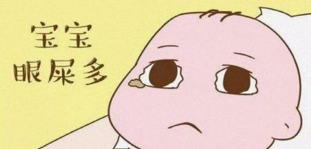 泰迪长眼屎的原因及解决方法（泰迪眼屎问题的症状和治疗方式）