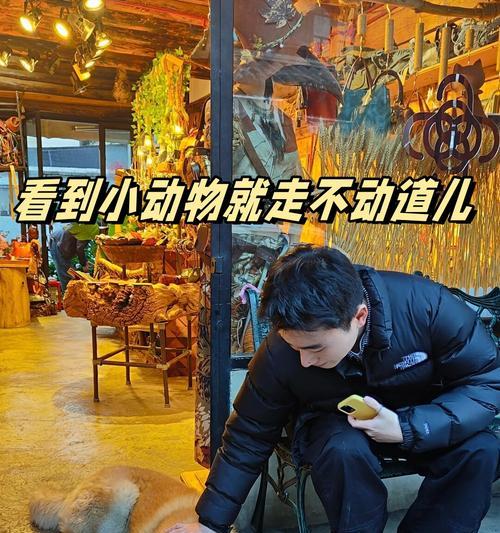 兔子为什么不动了？（解析兔子停止行动的原因及应对方法）