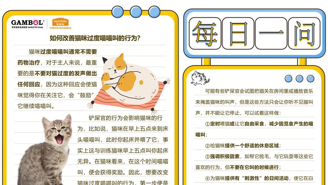 猫咪半夜凶叫的原因揭秘（猫咪半夜凶叫的行为背后隐藏着什么关键问题？）