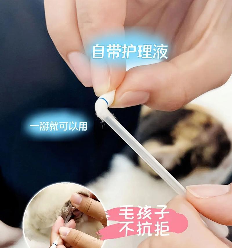 猫耳清理（以猫清理耳朵用什么消毒？选择正确的消毒剂是关键！）
