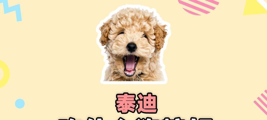 泰迪狗狗的喂养——好处与坏处（了解泰迪狗狗的饮食需求，为它们提供适当的营养）