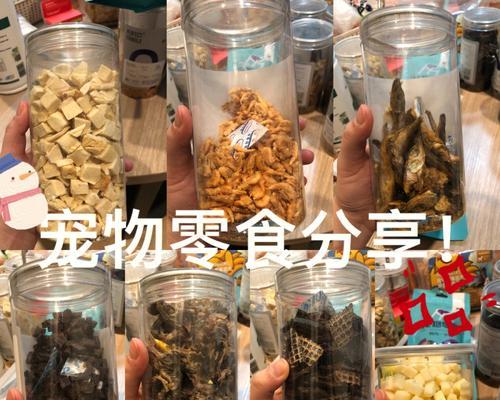 狗狗肺炎的治疗方案（帮助狗狗恢复健康的关键在于正确饮食和合适药物治疗）
