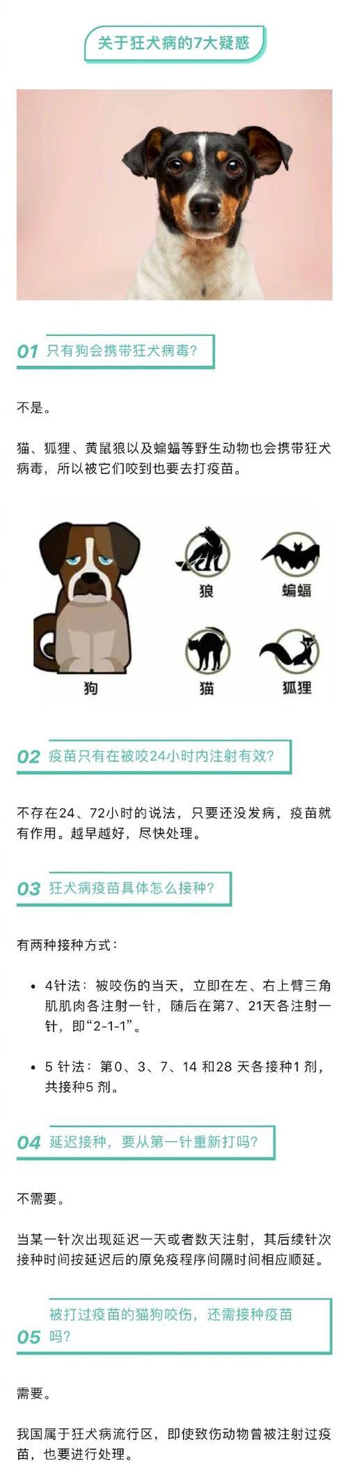 狂犬疫苗接种频率（科学家发现疫苗接种频率对狂犬病预防的重要性）
