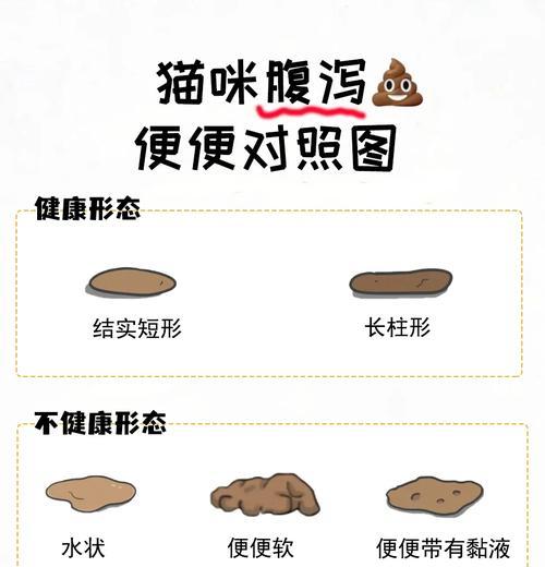 猫咪排便频率与原因解析（探究猫咪为何排便较少，以及每天应拉几次粑粑）