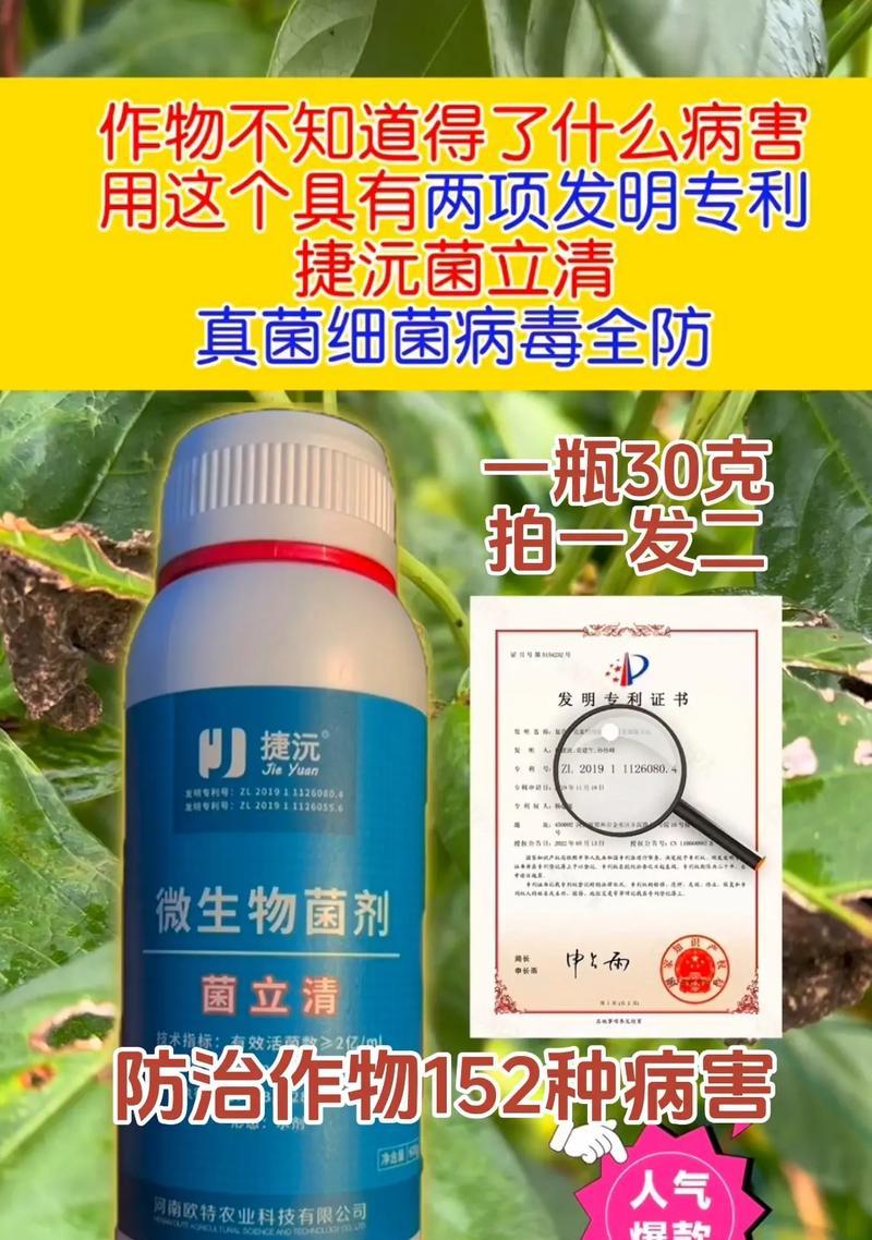 防治高等真菌病害的药物研究进展（探索有效药物以保护作物免受真菌病害侵袭）