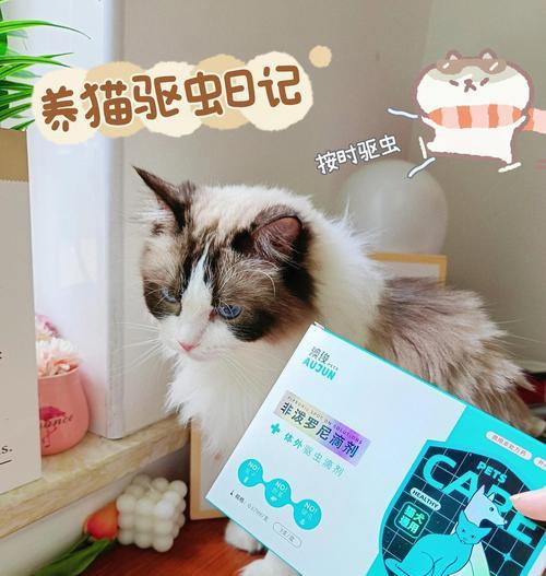 猫咪驱虫的频率与方法