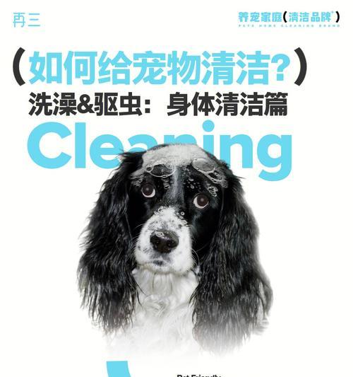 驱虫后多久才能洗澡？（洗澡前后的时间间隔及注意事项）