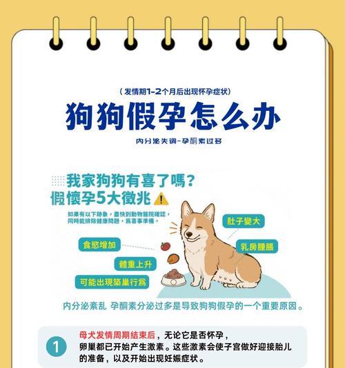 母狗怀孕到生的过程（了解母狗孕育新生命的奇妙旅程）