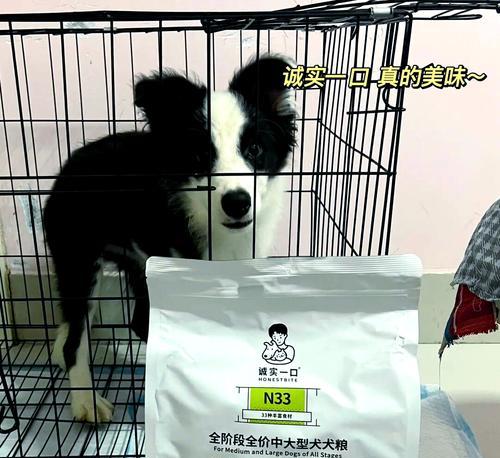 边牧的最佳狗粮选择（6个高性价比的推荐品牌）
