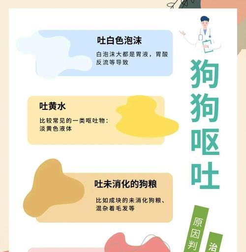 小狗吞食异物后需要多久才能康复？（异物消化过程、恢复时间和关键因素）