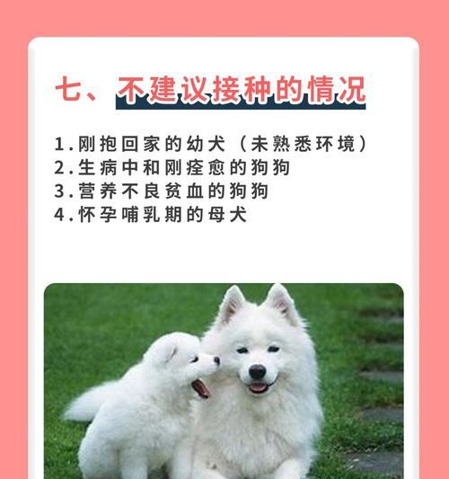 关于给狗狗打疫苗和体检的费用问题（贵不贵？一起了解一下吧！）