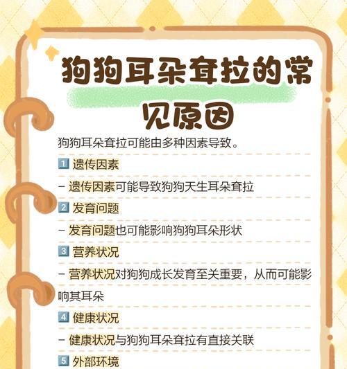 小狗耳朵里有黑褐色的东西，如何处理？（四个步骤，帮助你解决小狗耳朵问题）