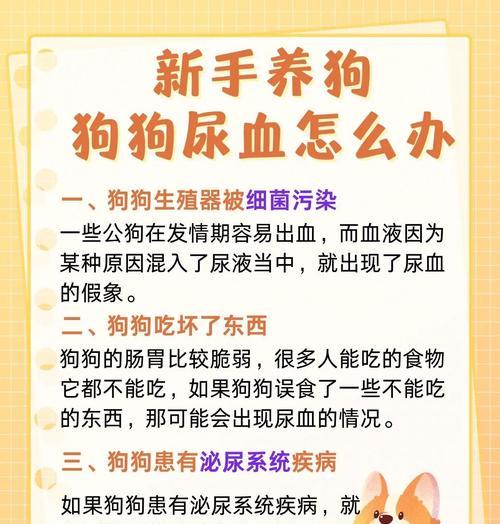 狗狗便秘拉血的康复时长及解决方法（便秘拉血的狗狗应该多久才能康复？探讨解决办法）