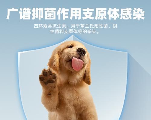 狗的感冒药物（了解不同药物种类及其用途，提供宠物狗维持健康的多种选择）