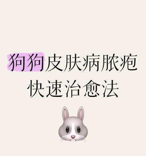 如何处理狗狗被大狗咬伤口流脓？（三种方式教你正确处理狗狗伤口，帮助伤口恢复健康）