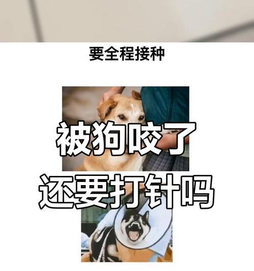 第三针疫苗和狂犬疫苗间隔时间有哪些考虑因素？（了解间隔时间，保护健康无忧）
