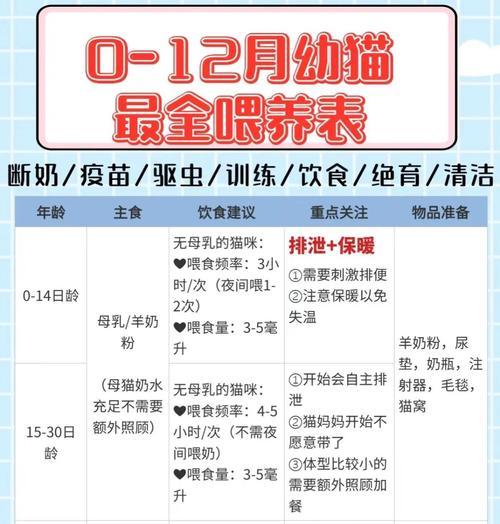以猫驱虫药需不需要空腹喂食的问题解析（解答猫咪驱虫药是否需要空腹服用的疑问）