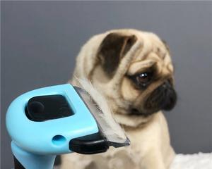 洗澡时间（探索合适的洗澡频率与时间）