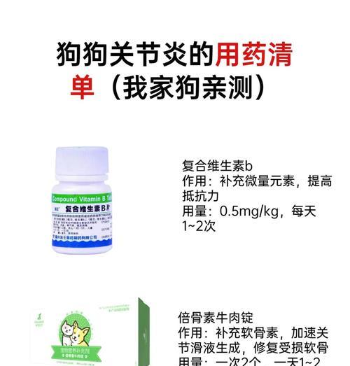 狗狗脚部受伤紧急处理方法（选择合适药物帮助狗狗康复，）