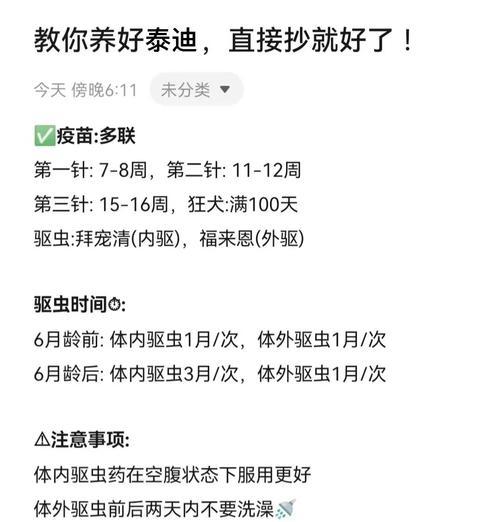 以泰迪育苗多久打一次？（探究泰迪育苗频率的最佳实践）
