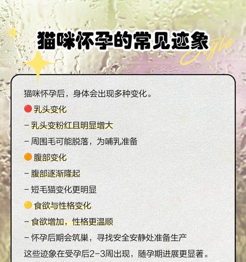 母猫的怀孕周期及注意事项（了解猫咪怀孕周期，为健康育种提供指导）