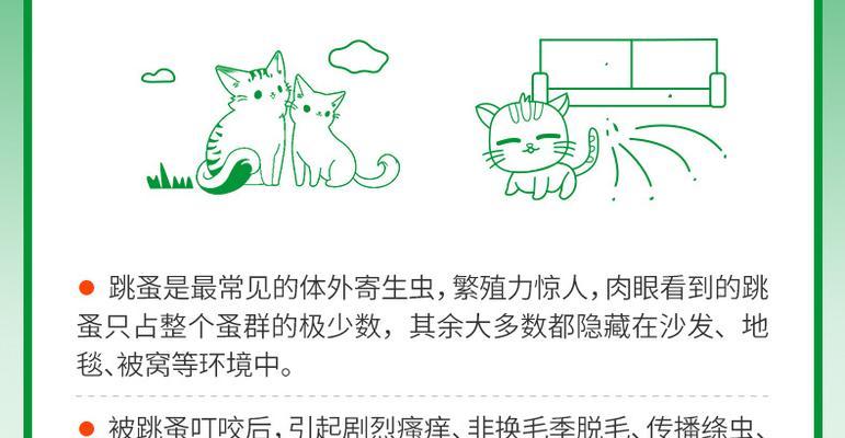 猫咪的洗澡时间和频率（福来恩后多久洗澡最合适？）
