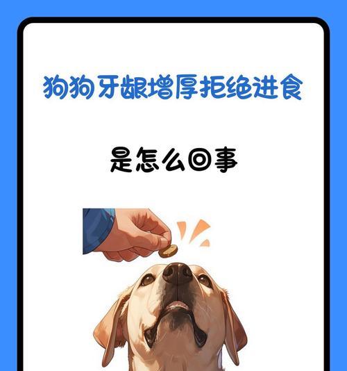 养成给狗刷牙的好习惯，从牙刷牙膏开始（为狗狗的口腔健康着想，从现在开始！）