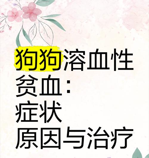 重度贫血症状在狗身上的表现（探讨狗重度贫血的症状与注意事项）