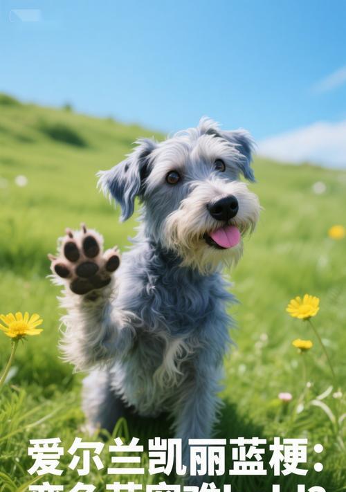揭秘蓝梗犬的寿命之谜（蓝梗犬的寿命与健康有关，关键在于饮食与运动）