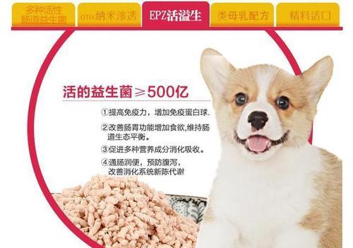 狗狗菌群失调（了解菌群失调对狗狗健康的影响及恢复时间）