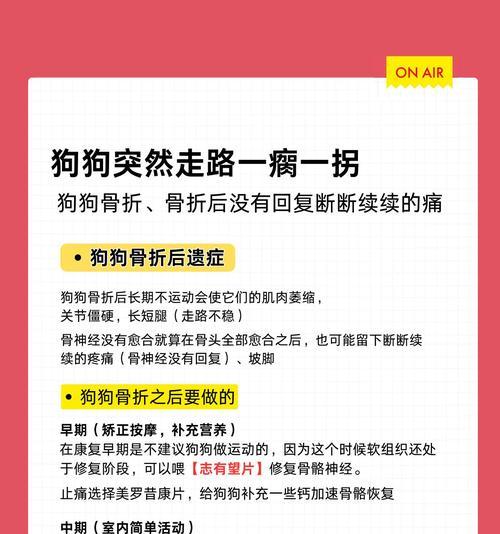 狗狗腿疼的原因及治疗方法（探索狗狗腿疼的多种原因和对应的治疗方法）