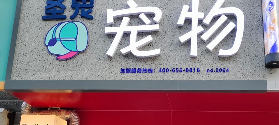 常见宠物店中的宠物种类及特点（了解一般宠物店中常见的宠物种类，为你选择宠物提供参考）