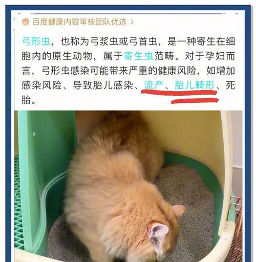 猫感染弓形虫的时间周期及预防措施（探究猫感染弓形虫的时间周期，保障宠物与家庭健康）