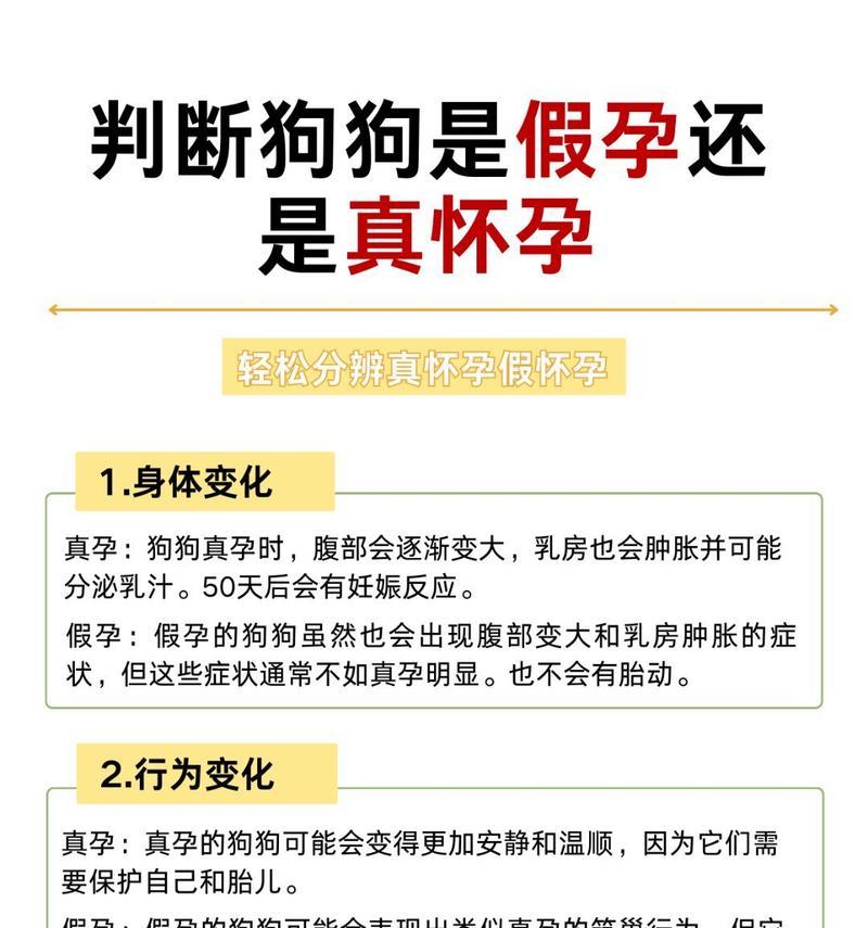 狗狗怀孕期间的奶线形成时间及注意事项（揭秘狗狗奶线形成过程，了解科学繁育的关键）