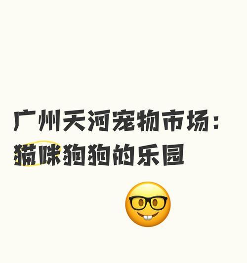 广州的宠物店推荐