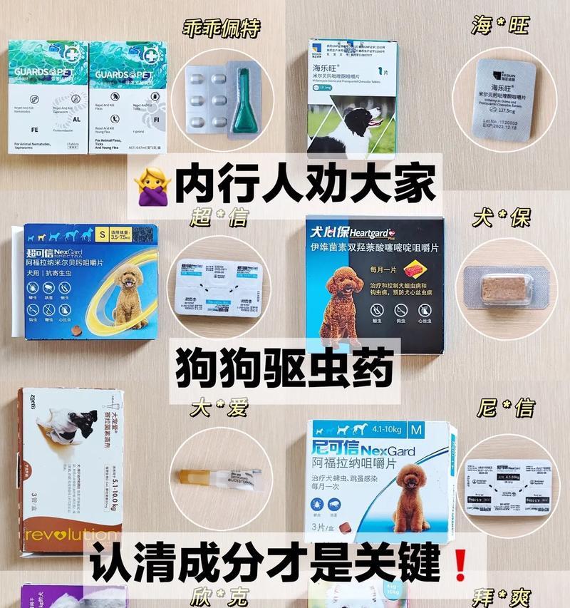 狗狗驱虫药的正确使用方法（关于狗狗驱虫药的注意事项和正确用法）