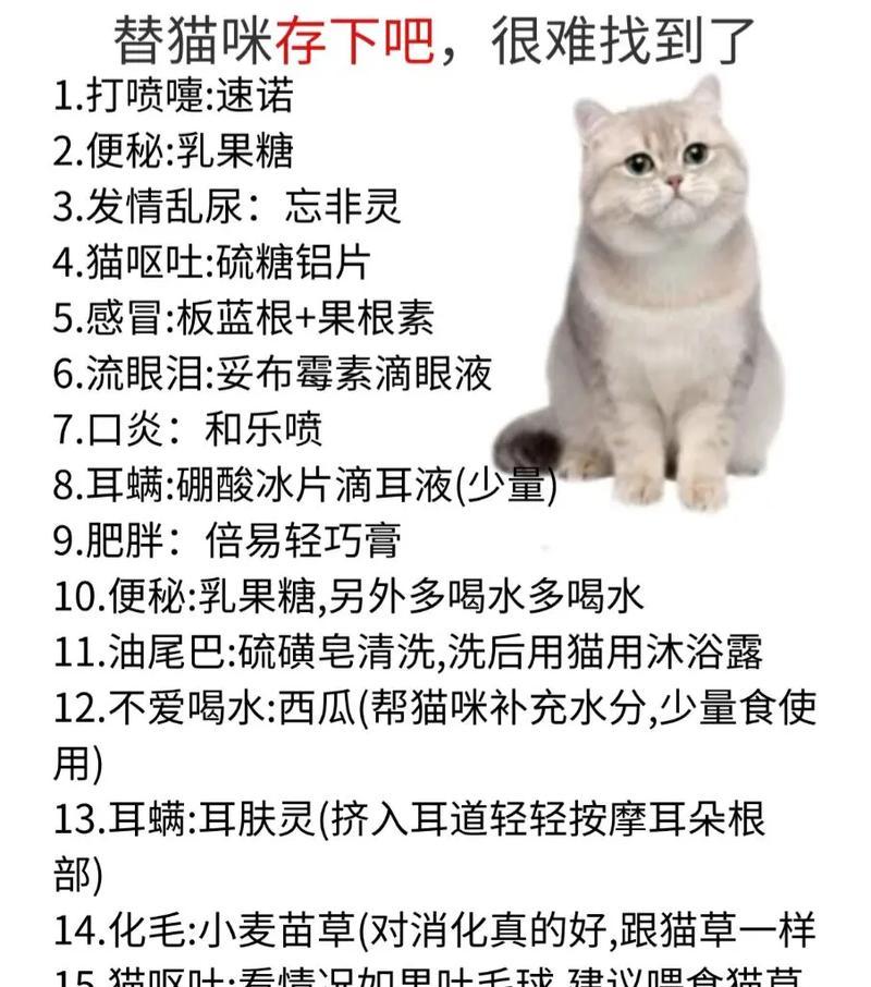 如何避免猫咪呕吐问题？（探讨猫咪饮食习惯与健康，了解什么食物会引起呕吐）