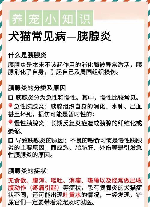 猫胰腺炎治疗的时间和效果如何？（以猫胰腺炎治多久见效？）