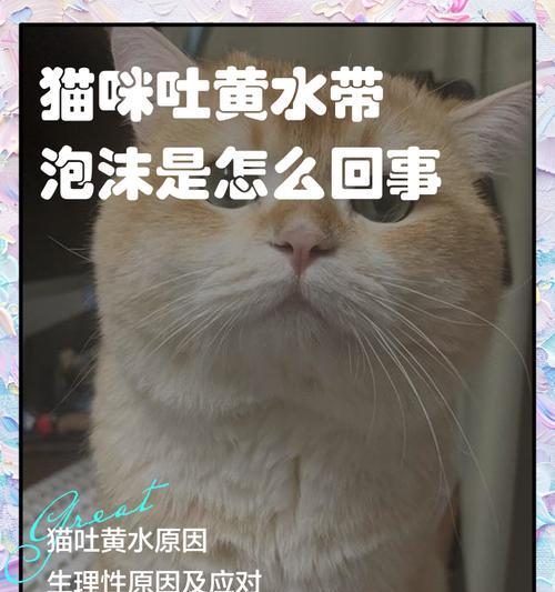 猫咪为何总是吐黄水？（探究猫咪吐黄水的原因及应对方法）
