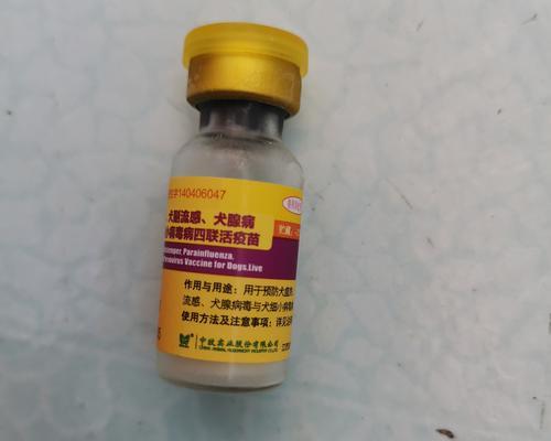 狗狗细小后预防针的时间安排（细小病毒预防针的重要性及最佳接种时间选择）