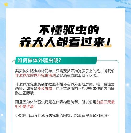 狗狗生下来多久需要进行驱虫？（了解驱虫的重要性，呵护狗狗健康）